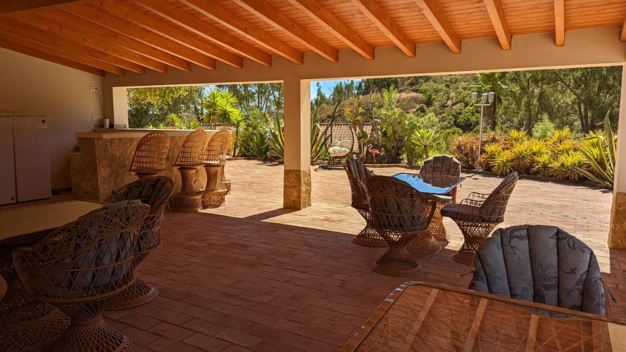 Casa Do Palmeiral - Hoom B&B Montes de Cima Eksteriør bilde