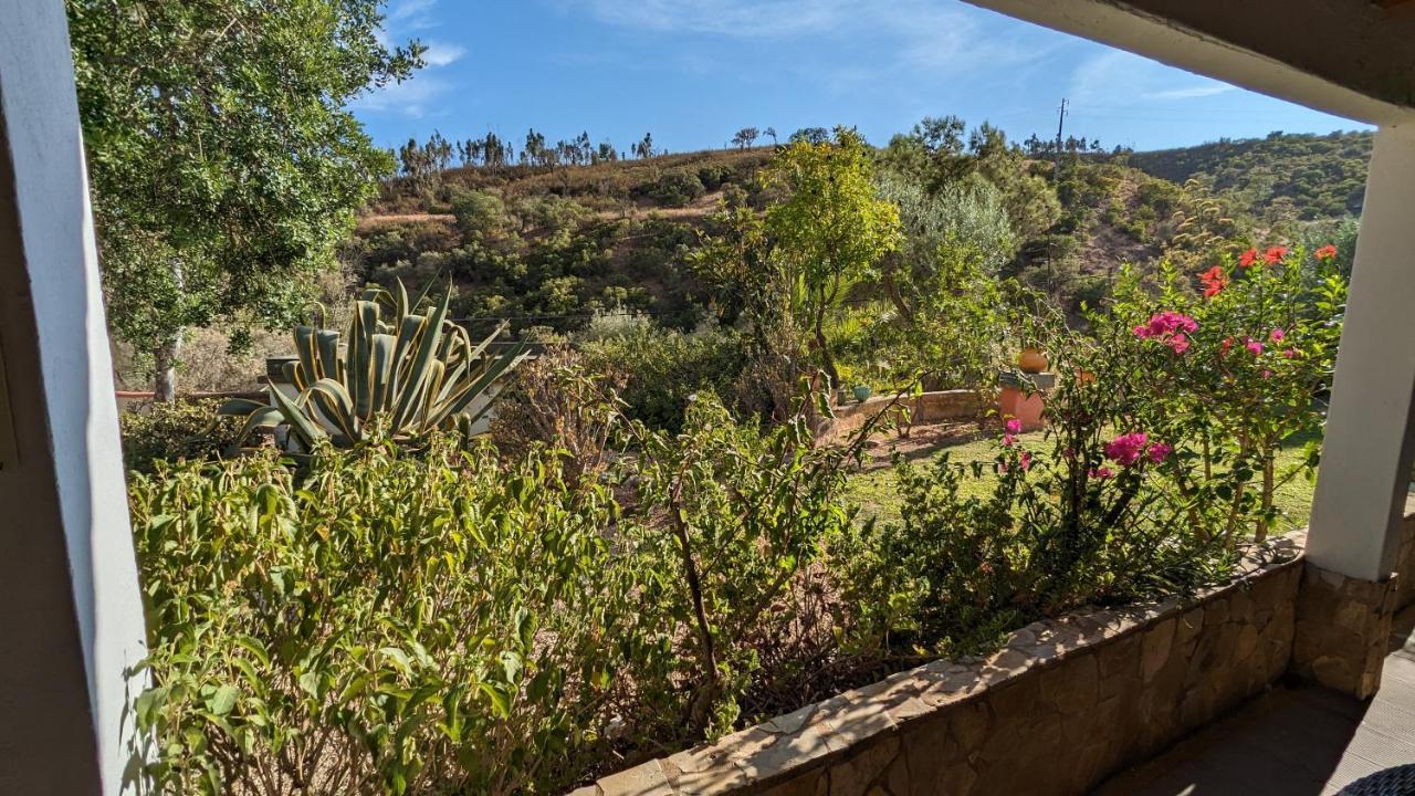 Casa Do Palmeiral - Hoom B&B Montes de Cima Eksteriør bilde