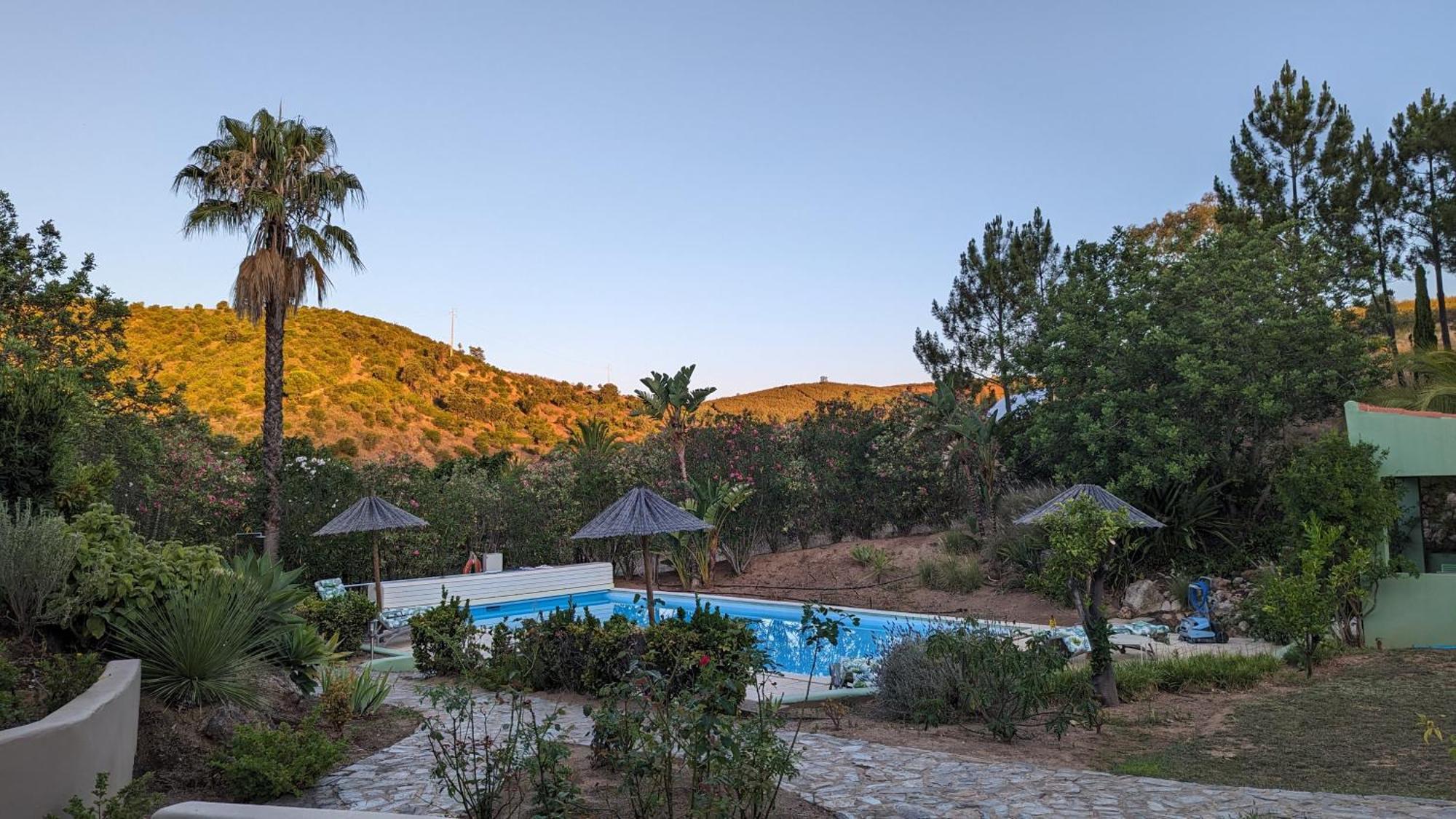 Casa Do Palmeiral - Hoom B&B Montes de Cima Eksteriør bilde
